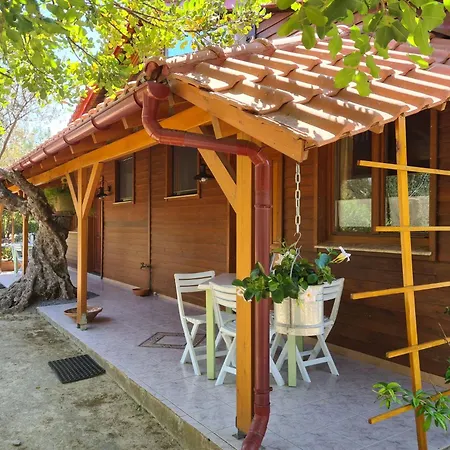 Ktirakia * ギシオ