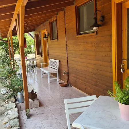 Ktirakia * ギシオ