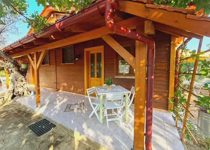 Ktirakia * 기티오